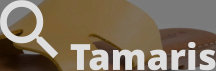 Tamaris